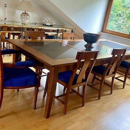 Wunderschoenes Grosses 3 Zimmer Apartament Zentrum Goldstadt Familienfreundlich Mit Garage Пфорцгейм Екстер'єр фото
