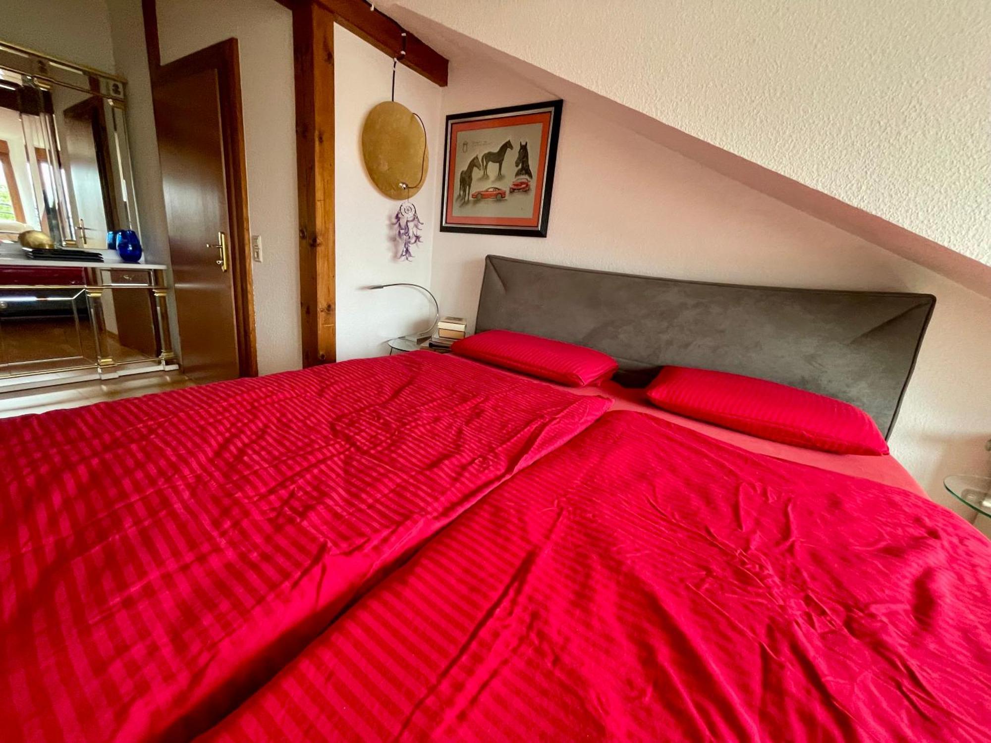 Wunderschoenes Grosses 3 Zimmer Apartament Zentrum Goldstadt Familienfreundlich Mit Garage Пфорцгейм Екстер'єр фото